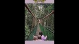 猴子特意缩了一下腿，躲开了游客