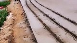 刚修好的路，就因为他一意孤行，整条路都报废了！