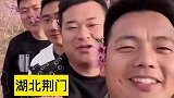 四个大男人桃花林里拍视频，古有桃源三结义，今有桃源四闺蜜！