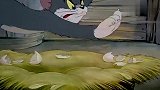 猫和老鼠：杰瑞混进小鸡里，小鸡不认识他，还要吃杰瑞的尾巴！