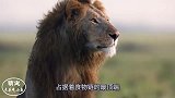 大象和犀牛打架，刚开始火药味十足，下一刻却画风突变！