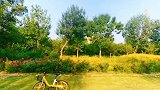 早上骑行虞舜公园，这两天五点多自然醒