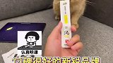 猫咪智商低怎么办，挺急的在线等萌宠出道计划 阿飞和巴弟 纯条