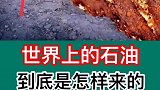 世界上的石油到底是怎么来的？