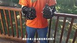 牛人打造穿山甲手套，鳞片一摸就会往回缩，到底有什么作用