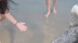 现在知道单身男士为何喜欢养狗了吧