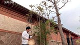 晚饭做个简单的，香椿炒鸭蛋，软面饼，小葱蘸酱，浓浓的乡土气息