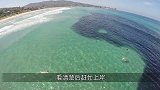 游客在海里游泳，岸上游客惊呼危险，看清楚后赶忙上岸！