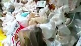 租客消失留下一片狼藉，我要让她自己打扫