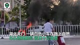为你点赞！市民偶遇汽车自燃，借来灭火器一路逆行上前