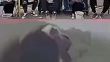 请接收一大波狗狗们的歪头杀