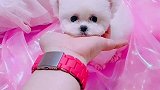 女孩子就要粉嫩嫩啊