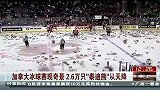 冰上项目-13年-加拿大冰球赛现奇景2万6千只泰迪熊从天降-新闻