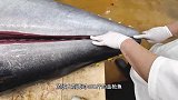 日本大厨秀刀工，切割400斤金枪鱼，是时候表演真正的技术了！