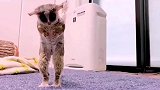 哪去了呢？隐形眼睛咋还掉了呢