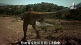 恐龙灭绝的真实原因揭露，中国四川马门溪龙