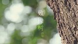 傅慎行，真的超级期待这部剧呢