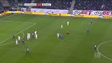 德甲-1617赛季-联赛-第16轮-霍芬海姆vs云达不莱梅-全场