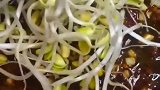 家庭版毛血旺，看了就流口水吧。