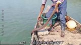 三哥用小杂鱼做诱饵，捕获到三米长的土龙，赚大了