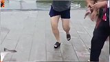 不小心蹦上岸的大鱼，被大爷大妈们围观了好久！