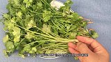 不管家里多有钱，香菜根一定要留下