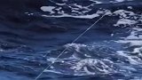 风浪越大鱼越贵