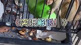 所以睡觉前应该放好食物！