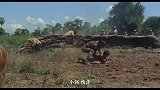 小伙子弹突然卡壳，瞬间就被敌人十几把枪对准，太惨了。
