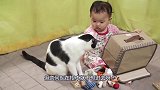 2岁宝宝非要把猫咪塞进小盒子里，猫：我现在不想进去，别动我