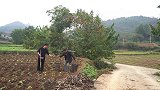 两兄弟吃羊血炖羊肚，大铁锅炖，香气四溢真够味，越吃越馋