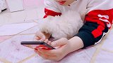 撒娇有段位的话你是什么段位