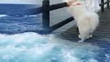 和我家妞宝看大海