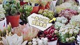 豪横！全国排名第一的花卉市场，卖花是这价！