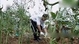 宋茜真是聊天鬼才，一句话戳中彭彭痛点，彭昱畅：我不要面子啊