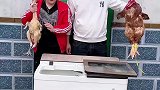 给我家大公鸡洗洗澡
