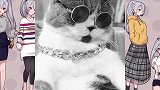 猫咪：理完发，我就是这条街最靓的喵！