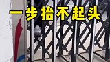 乌鸦嘴说什么什么就会灵验