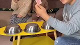 爸爸太厉害了，我们竟然没看出任何破绽！
