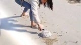 承包了我一年的笑点，妹子放炮太害怕，就地跪下了