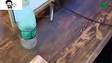 爆笑妹子放开那狗子让我来