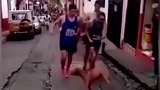 比赛中被小狗挡道 运动员一脚将其踢飞引发众怒