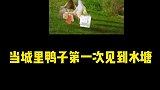 关于我带一身白去农村的大水塘这件事