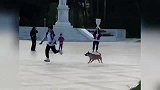 盘点假日出游的社死瞬间