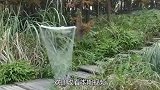老外发明首款“隐身衣”，其中原理，看完让人大开眼界！