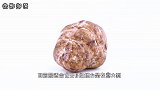 世界最奢侈的食材1483克能卖110万元 采摘条件非常苛刻