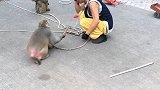 猴子抽师傅了。