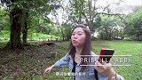 蔡恩雨的vlog，用马来文翻唱歌曲，这是为什么呢？