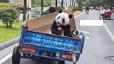这哥们真是活够了啊