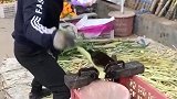 卖甘蔗的老板身怀绝技，削甘蔗的速度简直神了，一般人还真做不出